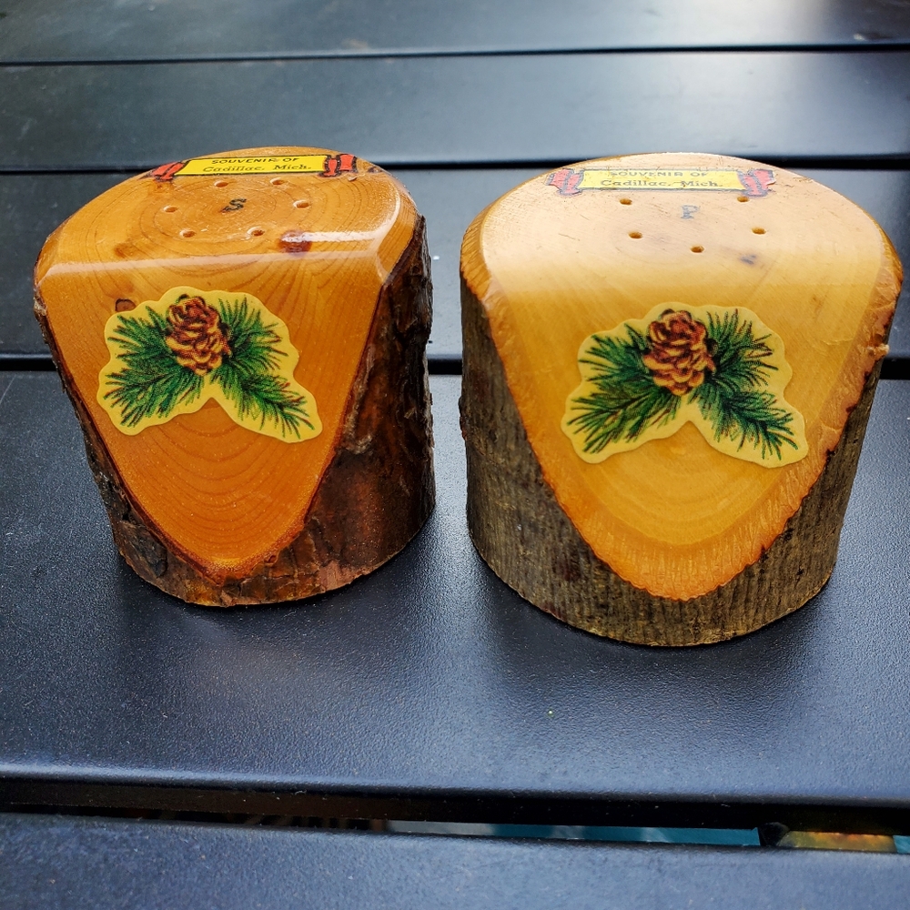 Vintage Salt and Pepper Shakers Souvenir of Cadillac Michigan Tree Branch Cuts